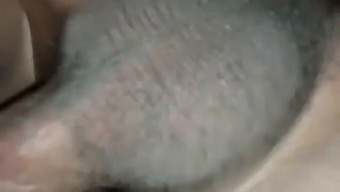 Kedves Kincsem, A Vidéki Lány..